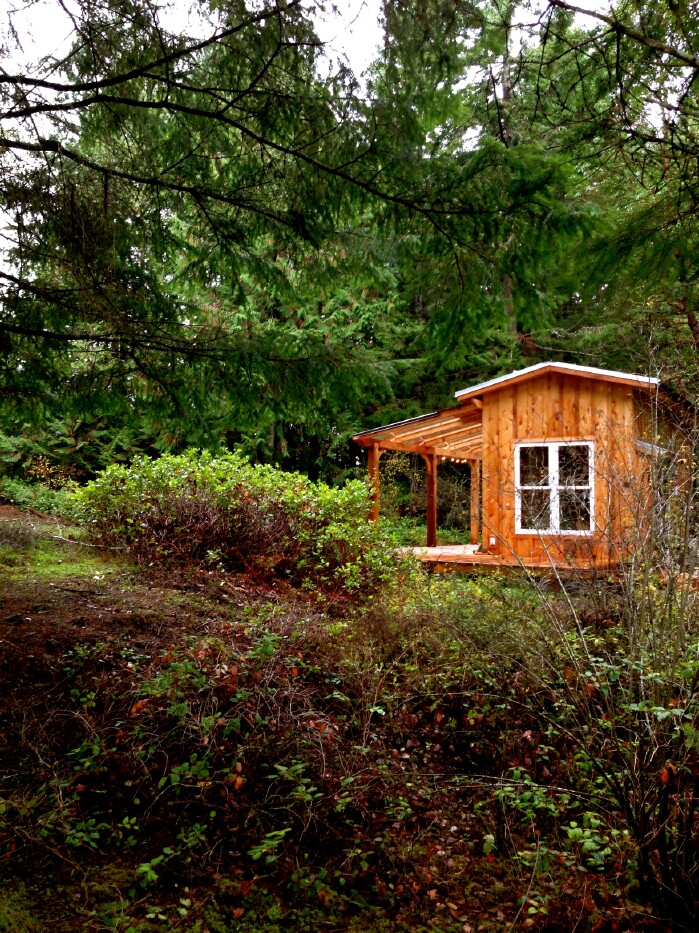 Tiny House Tour: Perfectly Rustic Tiny Mountain Log Cabin in British Columbia