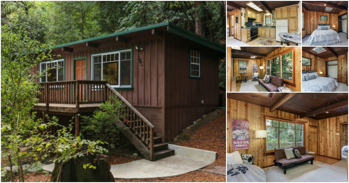 Cozy Rustic Tiny Cabin in San Lorenzo Valley will Take Your Breath Away Tiny Houses