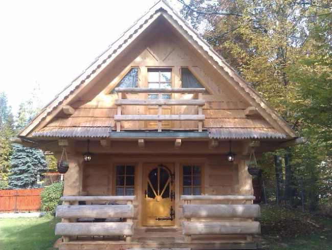 Tiny Log House
