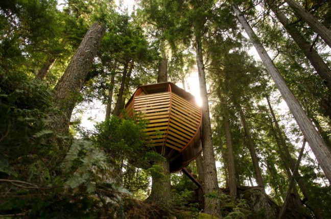 Man Builds Secret Tiny Treehouse on Crown Land in Whistler, Canada