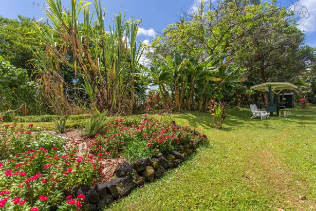 The “Adventurous Lava Rock Hale” Tiny House in Pahoa, Hawaii