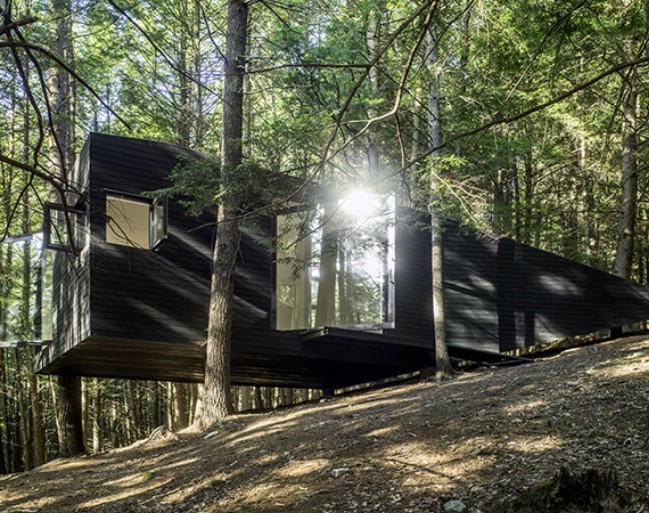 The Half-Tree House is Like No Tree House You Have Ever Seen