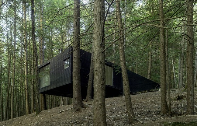 The Half-Tree House is Like No Tree House You Have Ever Seen