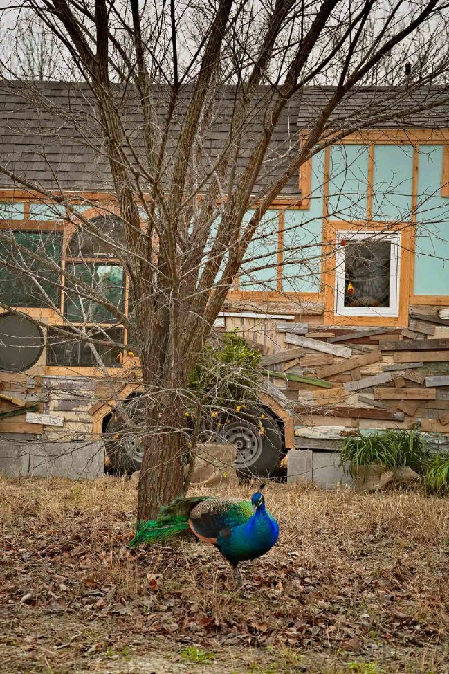 The “Birds Nest” Tiny House Is a Tiny Fairytale Retreat
