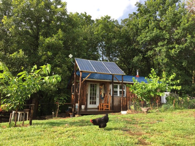 Brian and Teri’s Off-The-Grid Tiny House Is Every Homesteader’s Dream Come True
