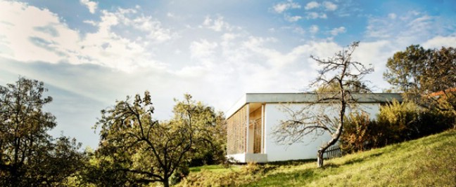 Check Out This Beautiful Tiny Home Extension in Austria