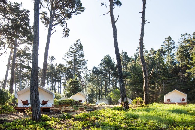 Camp in a Luxurious Tiny Tent at Mendocino Grove