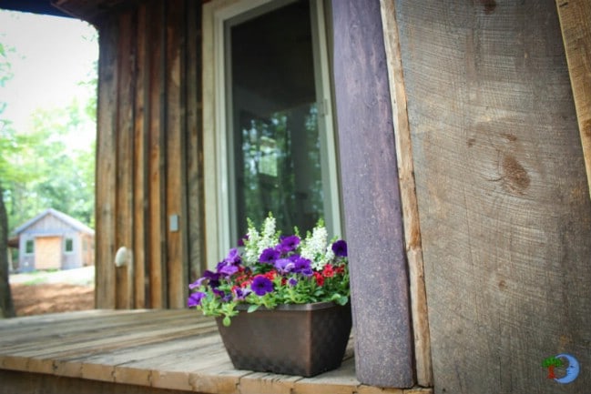 Stay in Funkomatik 513, a Cute Tiny Cabin with a Funky Purple Door