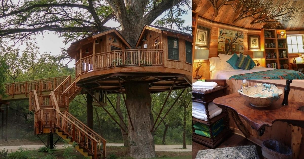 The Biblioteque is the Ultimate Book Lovers Tiny Treehouse - Tiny Houses