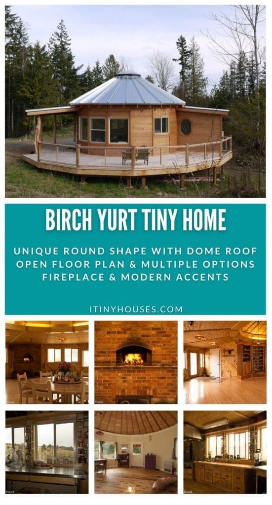 Birch yurt collage