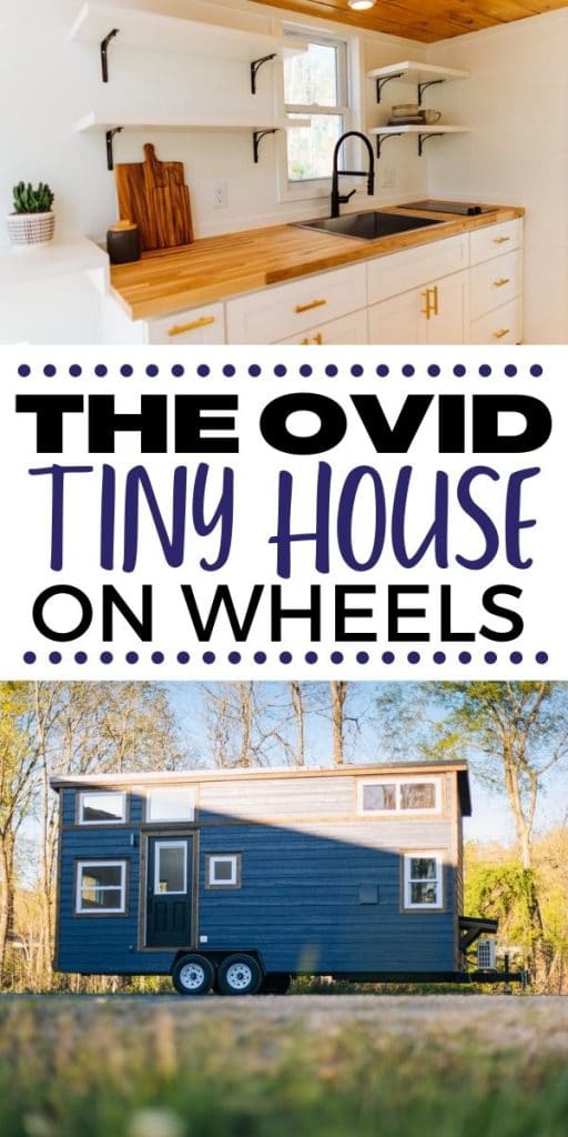 The Ovid tiny house collage