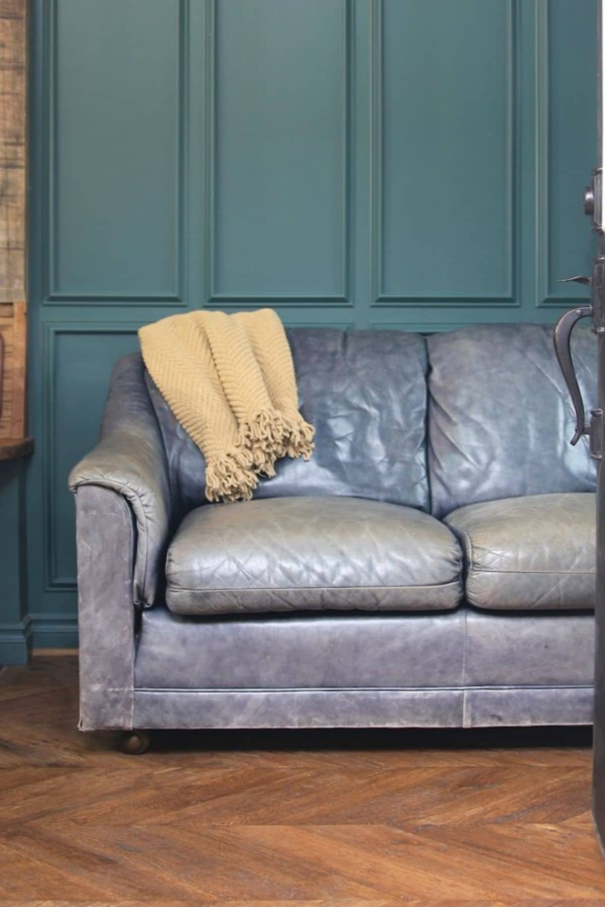 Gray leather sofa against teal wall