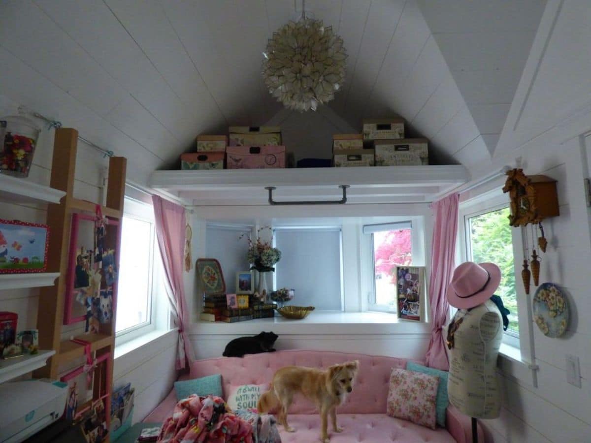 Dog standing on pink sofa against windows with small loft above