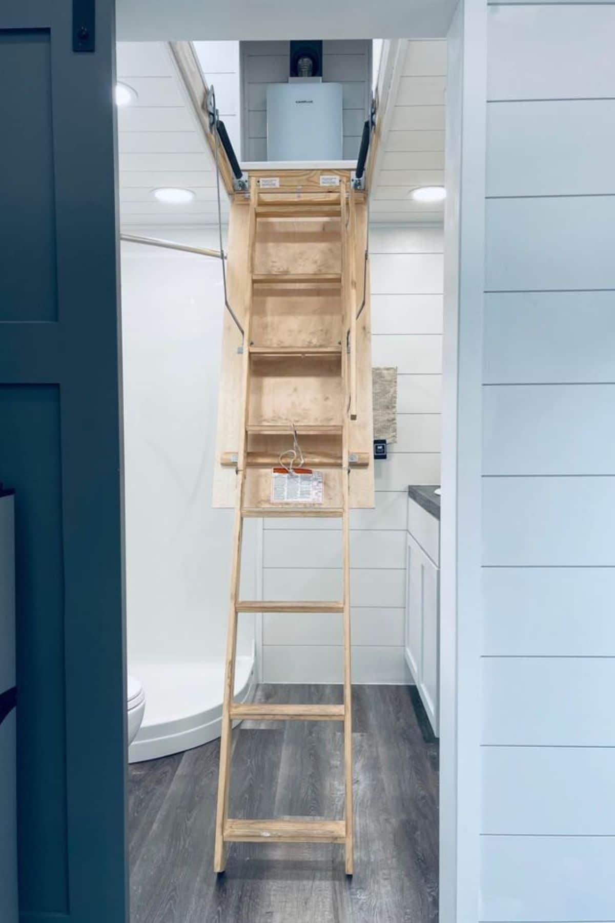 ladder dropped down from ceiling in bathroom