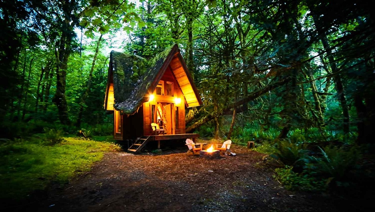 Enchanting Tiny Cabin in the Olympic Forest, Washington