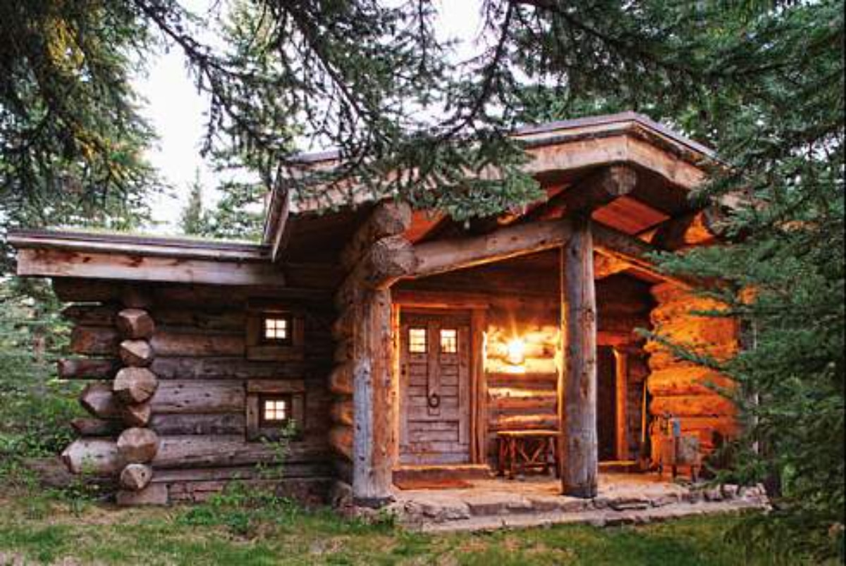Simple and cozy log cabin surrounded by trees