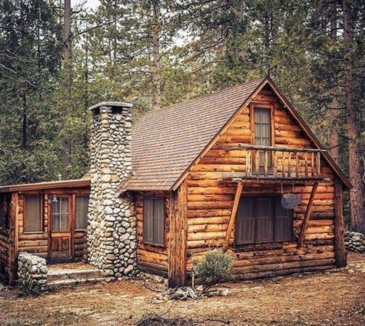 Small but luxurious Log Cabin in the woods