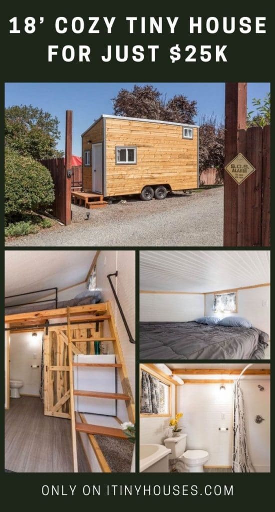 18’ Cozy Tiny House For Just $25k PIN (1)