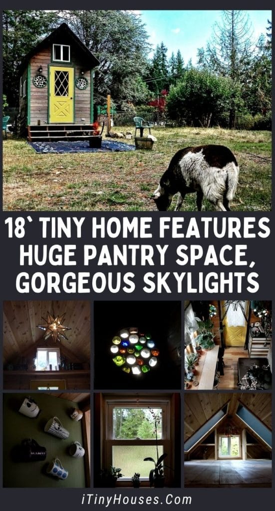 18' Tiny Home Features Huge Pantry Space, Gorgeous Skylights PIN (3)