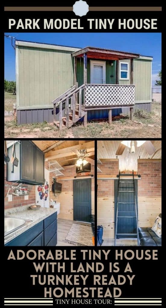 Adorable Tiny House with Land is a Turnkey Ready Homestead PIN (2)