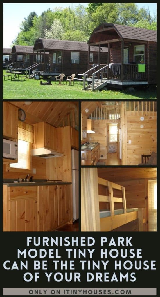 Furnished Park Model Tiny House Can Be the Tiny House of Your Dreams PIN (3)