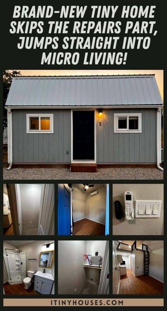 Brand-New Tiny Home Skips The Repairs Part, Jumps Straight Into Micro Living! PIN (1)