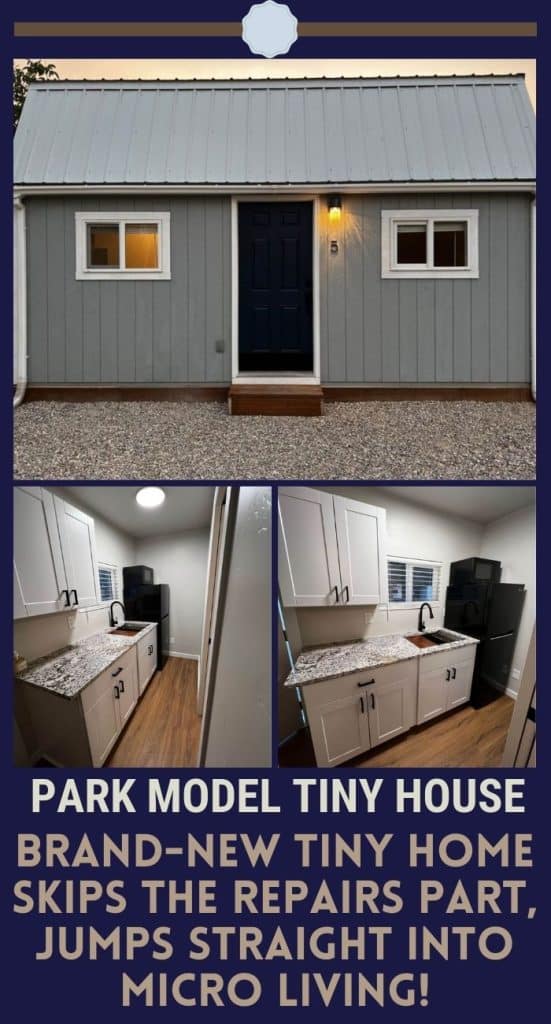 Brand-New Tiny Home Skips The Repairs Part, Jumps Straight Into Micro Living! PIN (2)