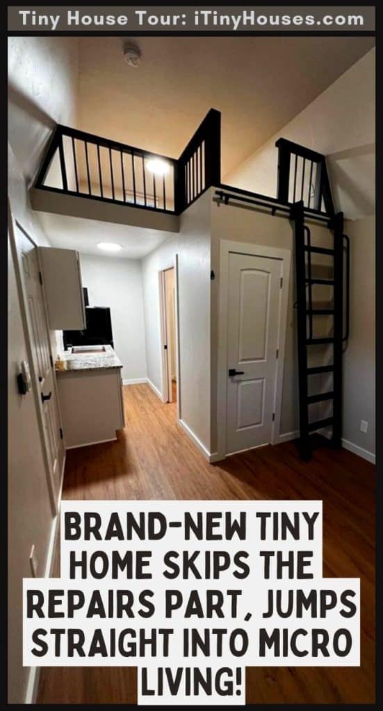 Brand-New Tiny Home Skips The Repairs Part, Jumps Straight Into Micro Living! PIN (3)