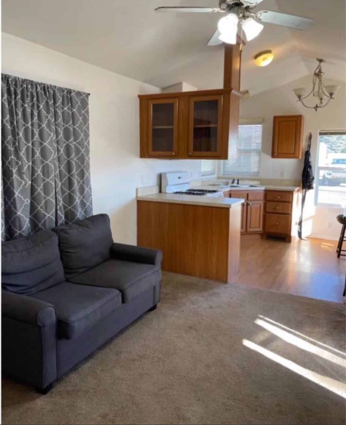 Living area of Modern Tiny House has a couch and huge space