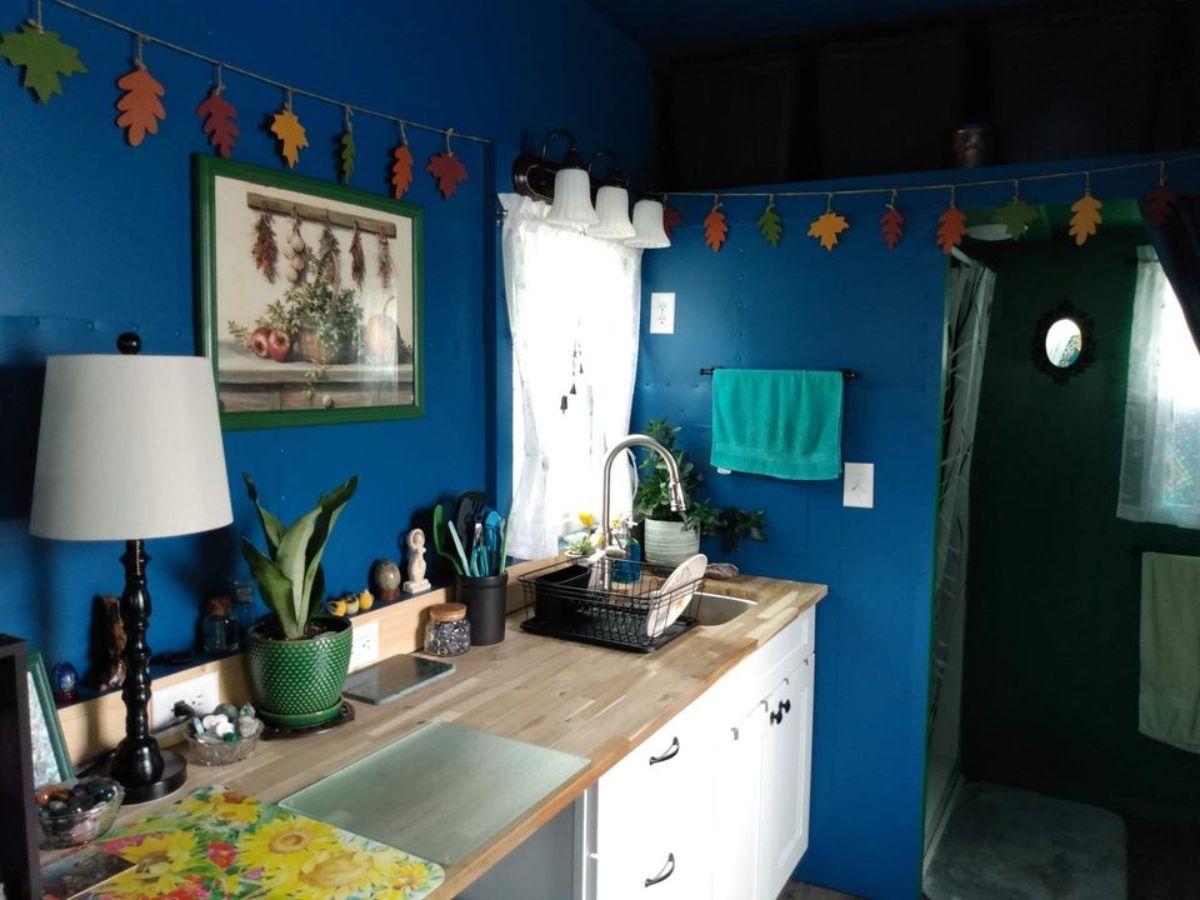 Kitchen area of charming tiny home