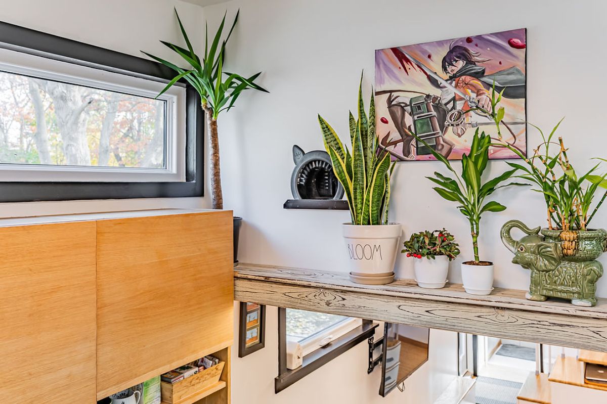 potted plants on shelf above living area