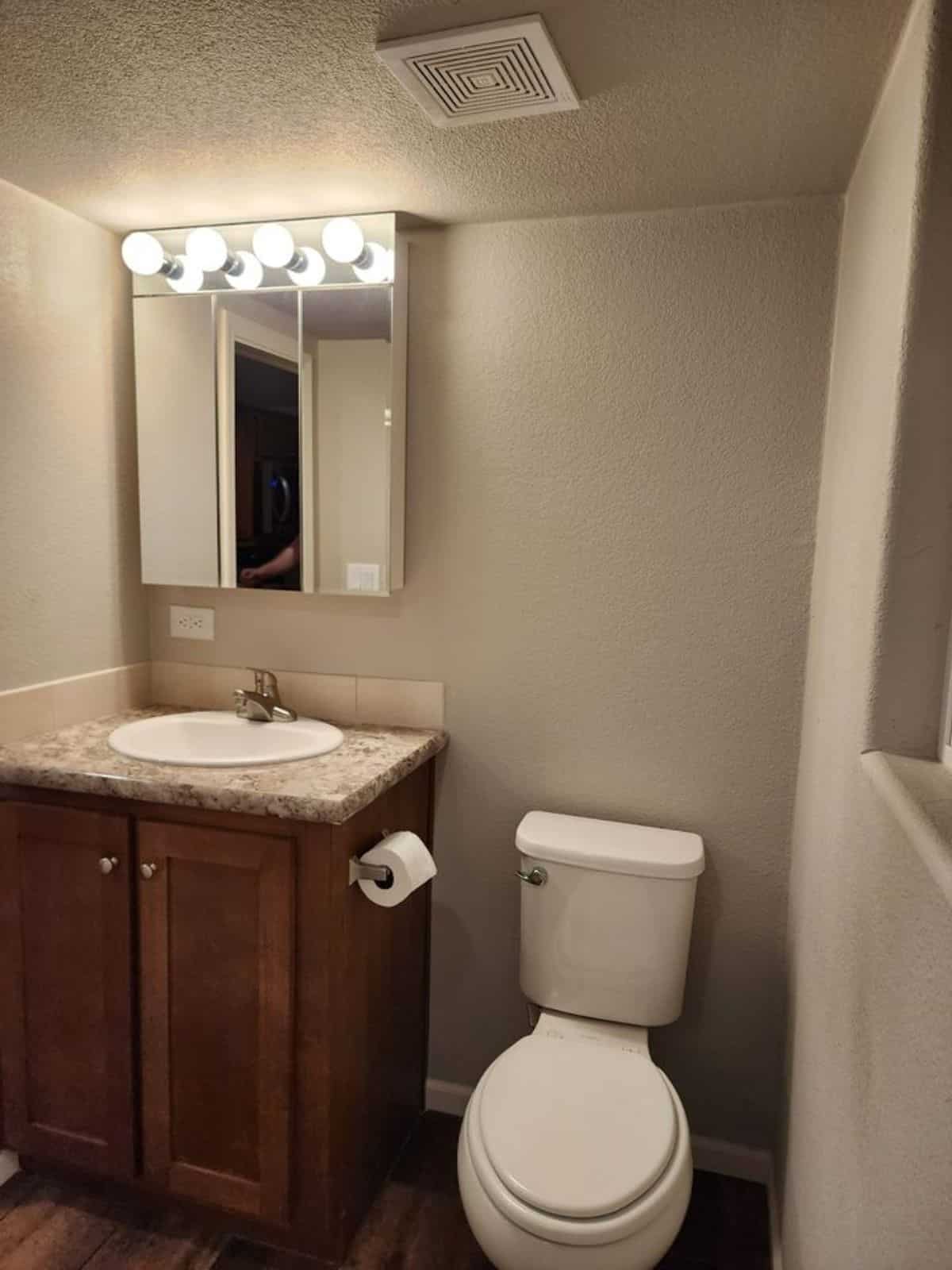 Standard toilet, sink with vanity & mirror in bathroom of Spacious Tiny House