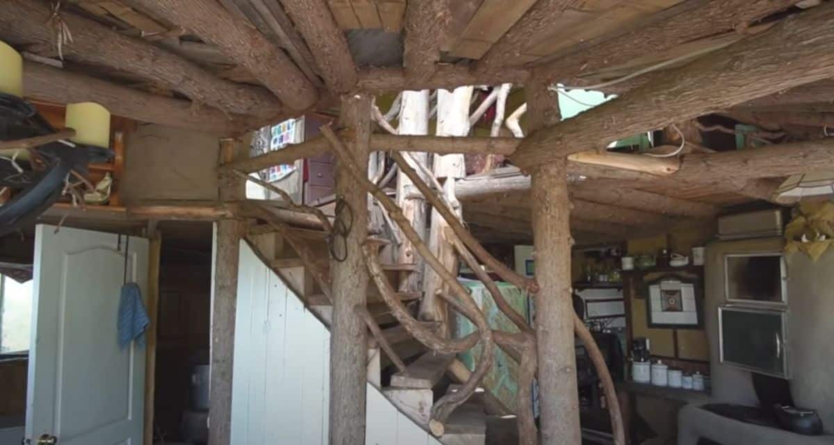 tree trunk stairs to loft