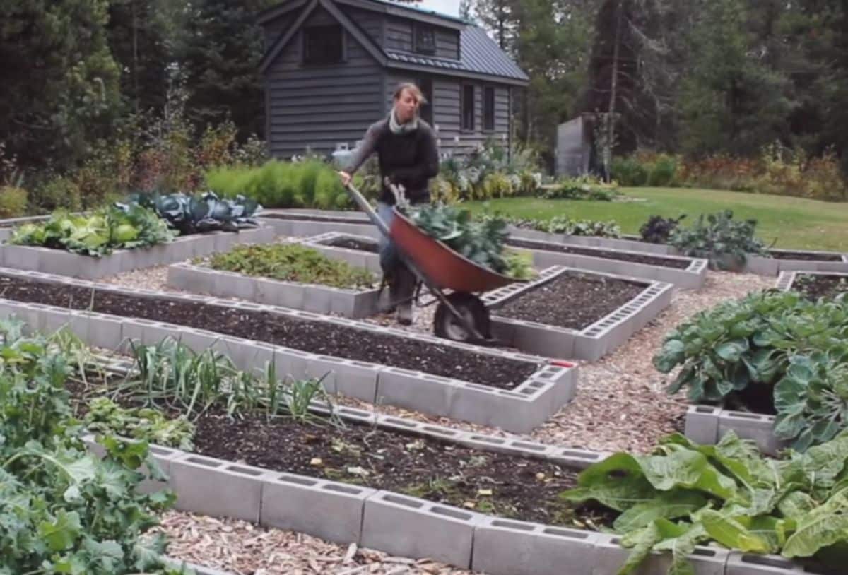 woman with wheelbarrow in garden