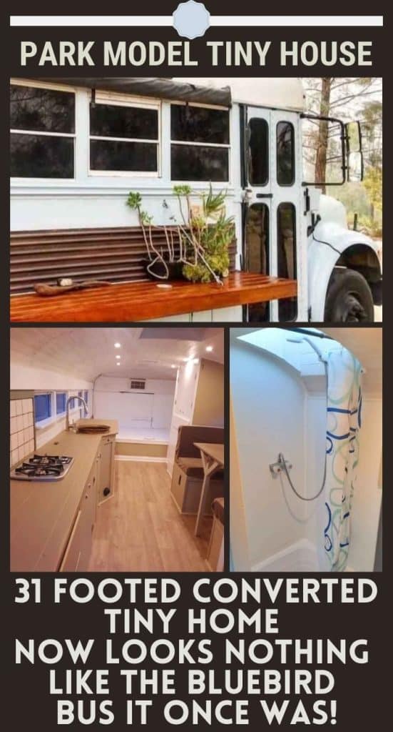 31 Footed Converted Tiny Home Now Looks Nothing Like the Bluebird Bus It Once Was! PIN (1)