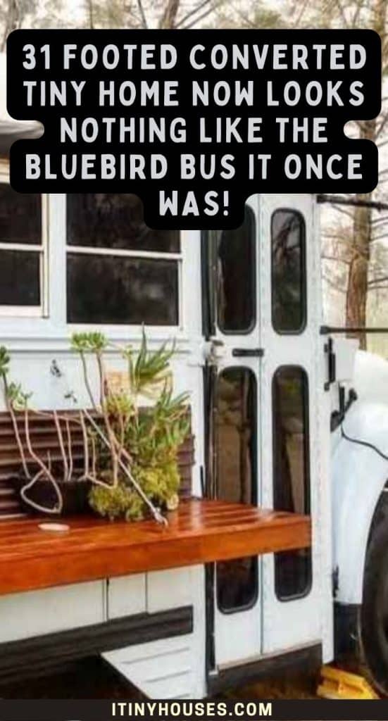31 Footed Converted Tiny Home Now Looks Nothing Like the Bluebird Bus It Once Was! PIN (3)