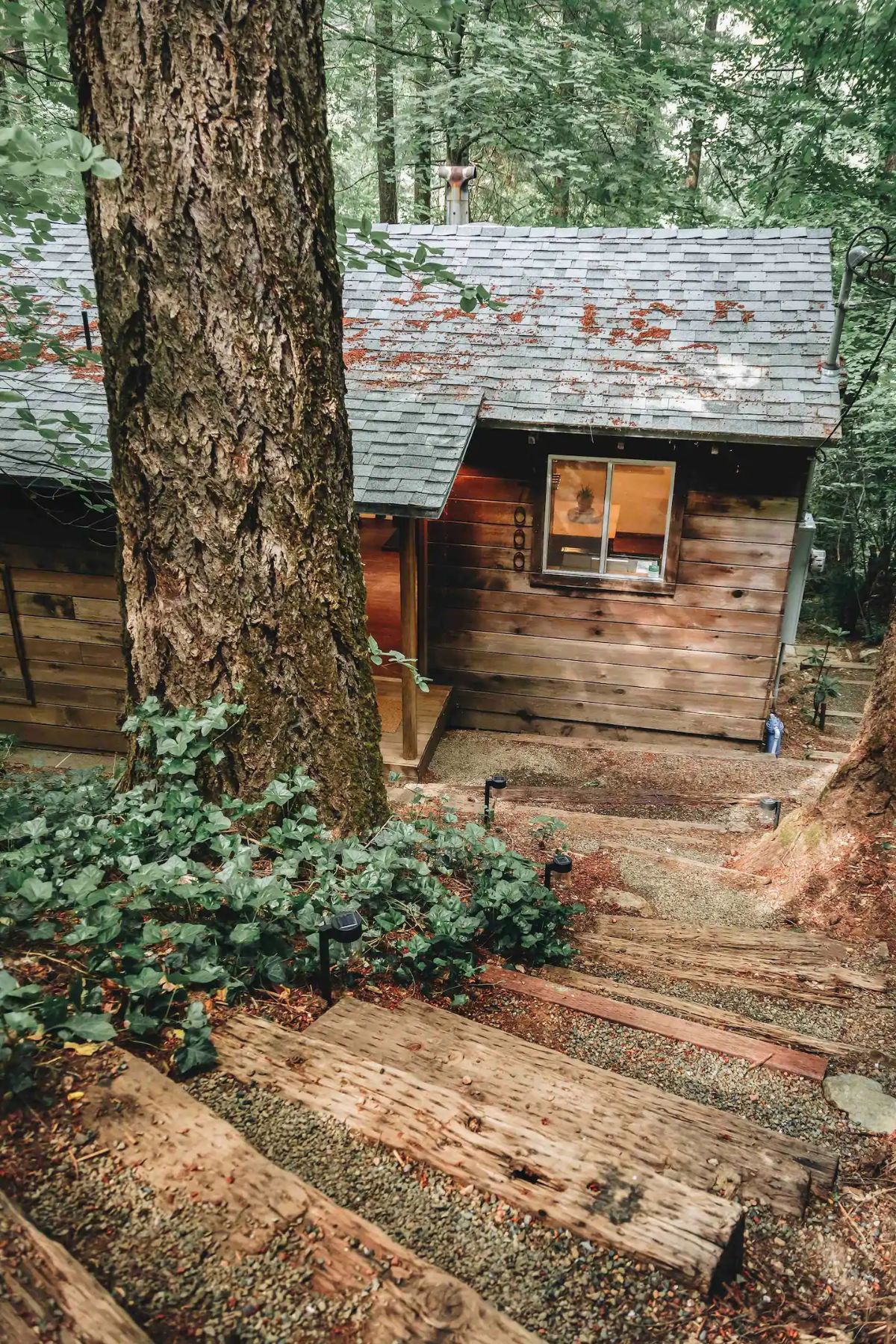 wood stairs leading down into cabin