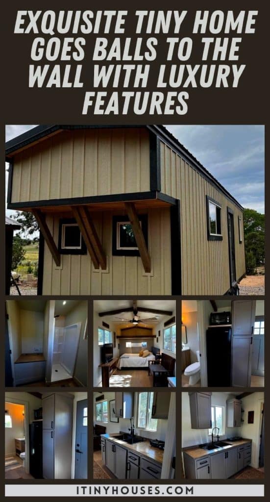 Exquisite Tiny Home Goes Balls to the Wall With Luxury Features PIN (1)