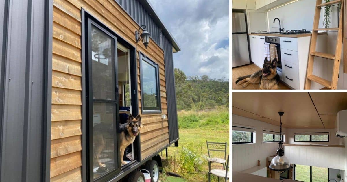 View of The Brutal Reality of Living in a Cabin Off the Grid | TikTok