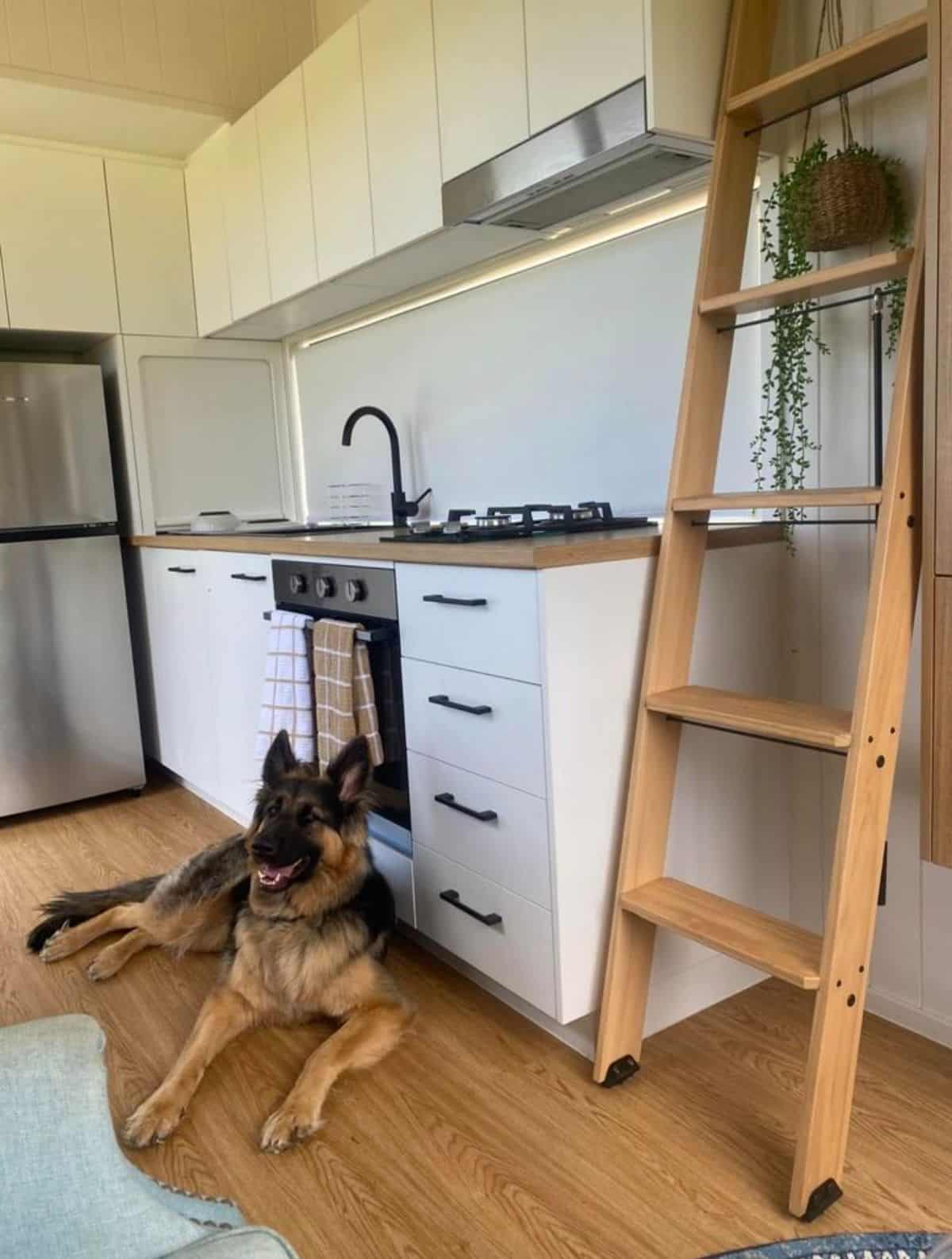 kitchen area of sustainable tiny home