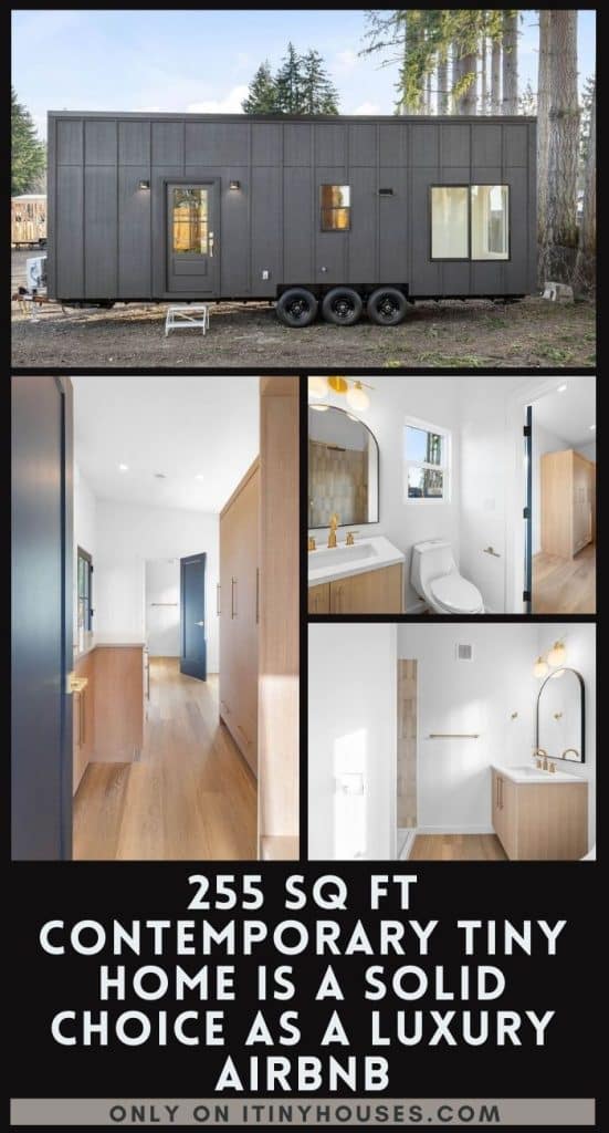 255 Sq Ft Contemporary Tiny Home Is a Solid Choice As a Luxury Airbnb PIN (2)
