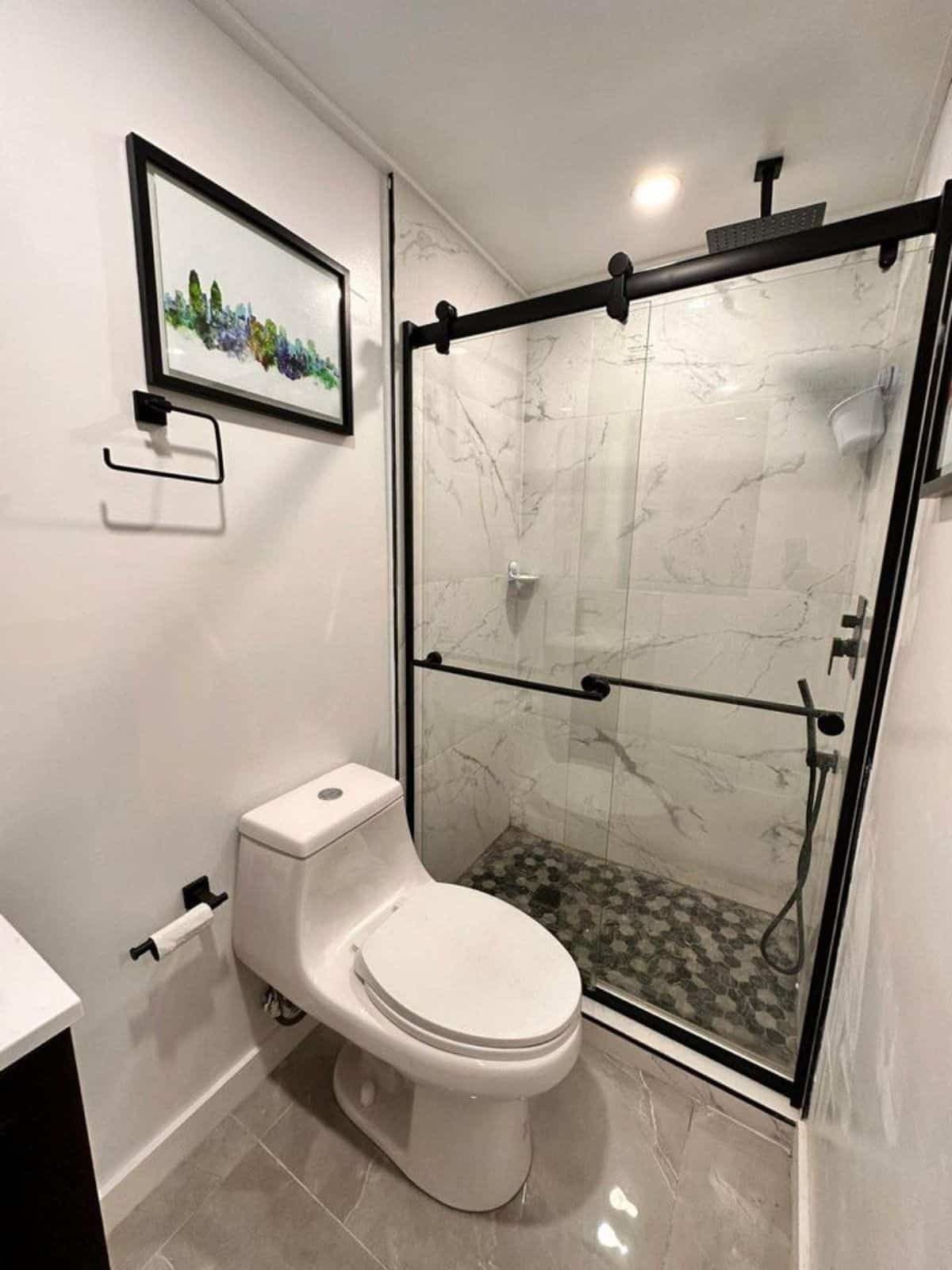 separate shower area with glass enclosure in bathroom of budget tiny home