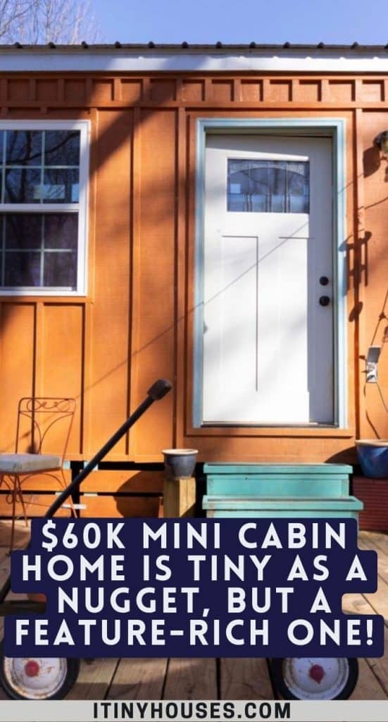 $60k Mini Cabin Home Is Tiny As a Nugget, but a Feature-rich One! PIN (1)