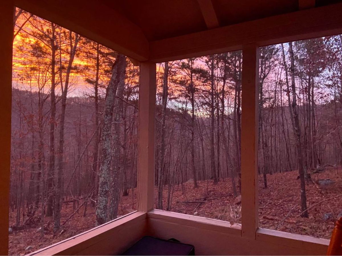 view from woods of spacious tiny cabin