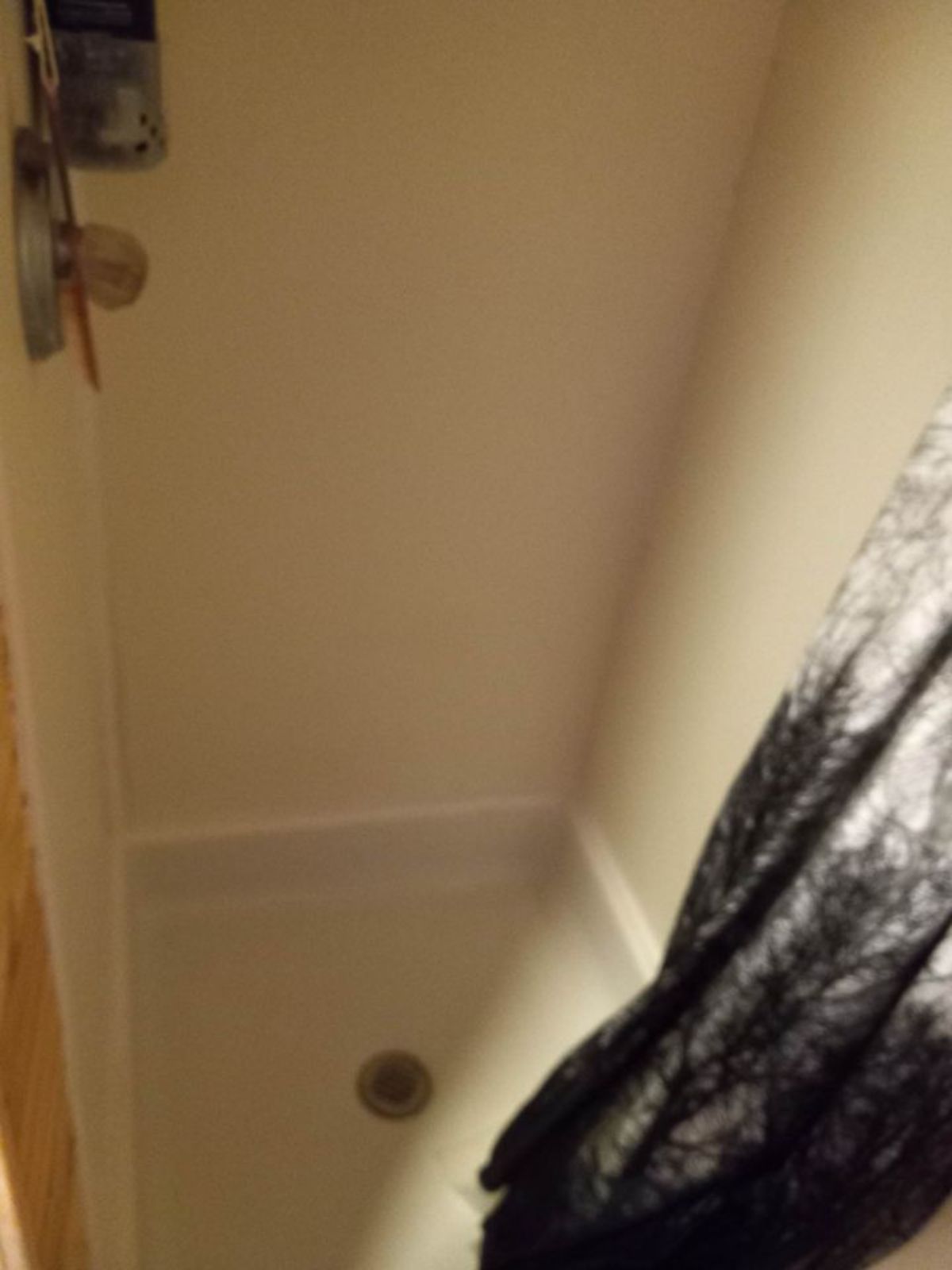 shower area in bathroom