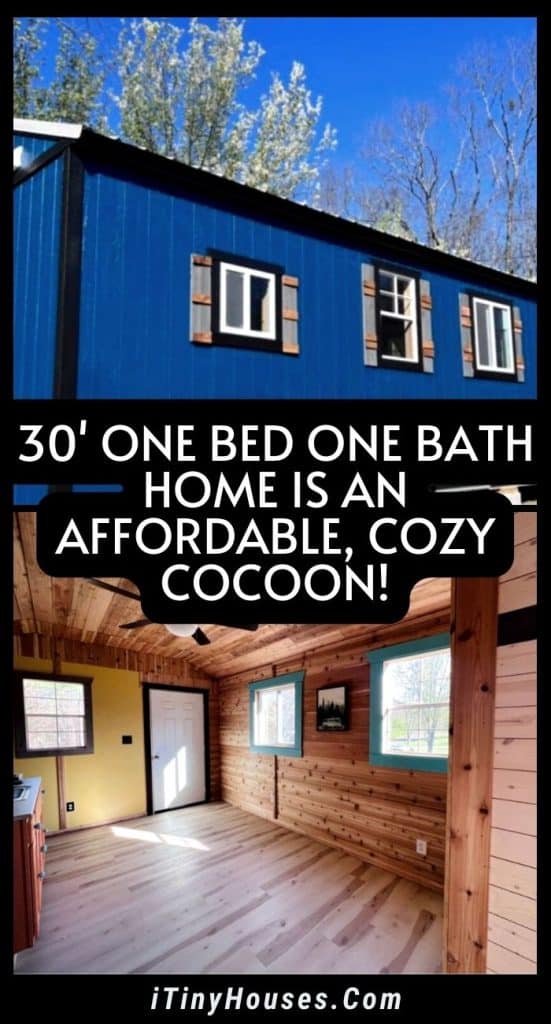 30' One Bed One Bath Home Is an Affordable, Cozy Cocoon! PIN (1)