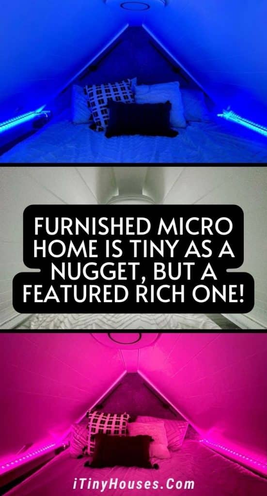 Furnished Micro Home Is Tiny As a Nugget, but a Featured Rich One! PIN (1)