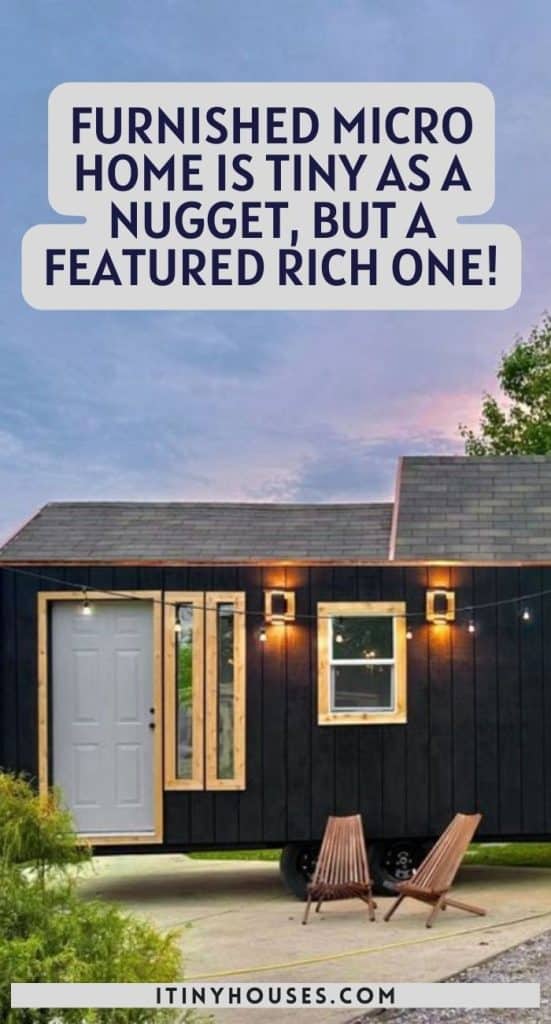 Furnished Micro Home Is Tiny As a Nugget, but a Featured Rich One! PIN (3)