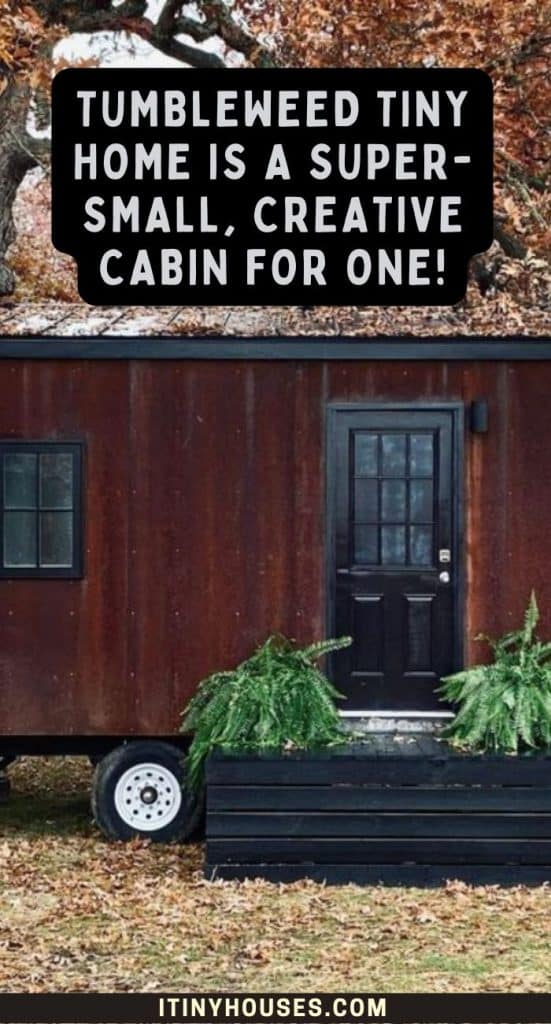Tumbleweed Tiny Home Is a Super-small, Creative Cabin for One! PIN (2)