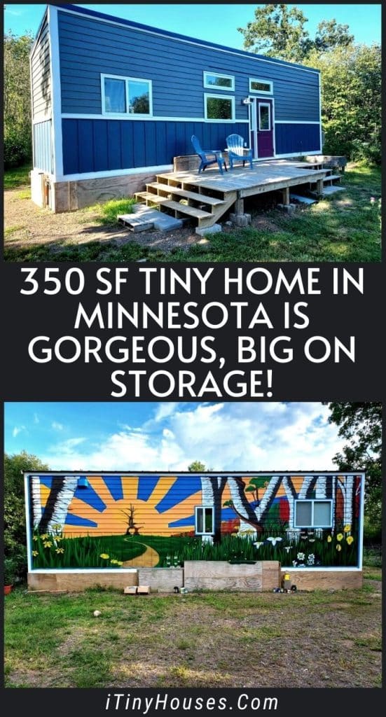 350 sf Tiny Home in Minnesota is Gorgeous, Big on Storage! PIN (3)
